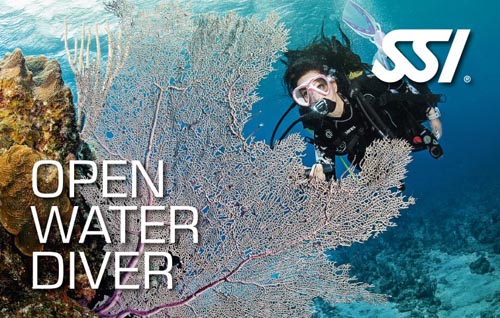 Corso sub Open Water Diver