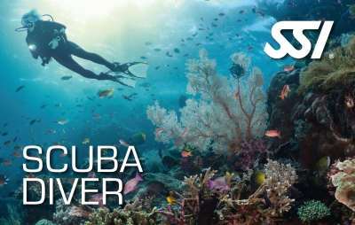 Corso sub base Scuba Diver (Fino a 12 mt)